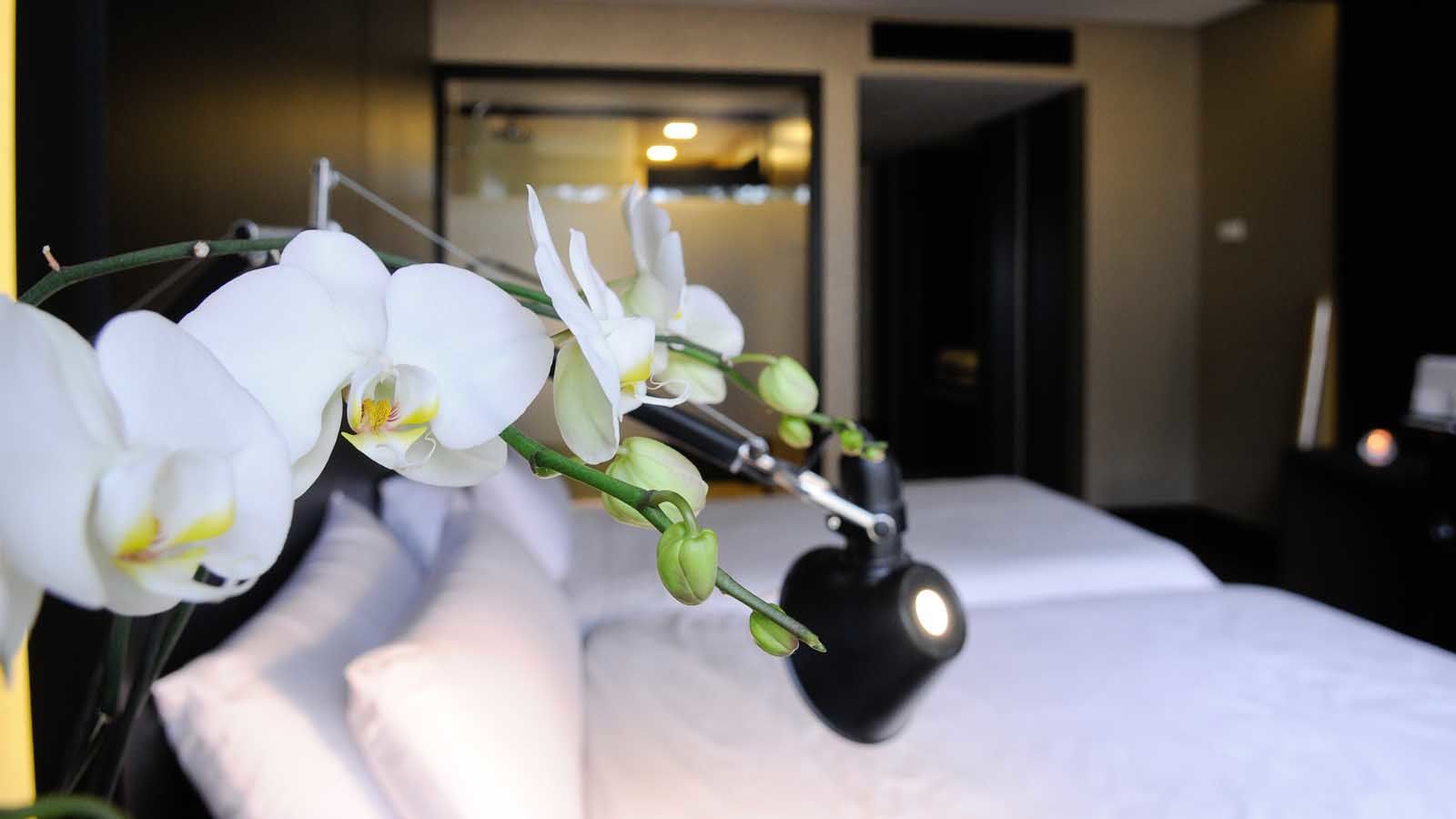 Evidencia Belverde Hotel Amora Luaran gambar